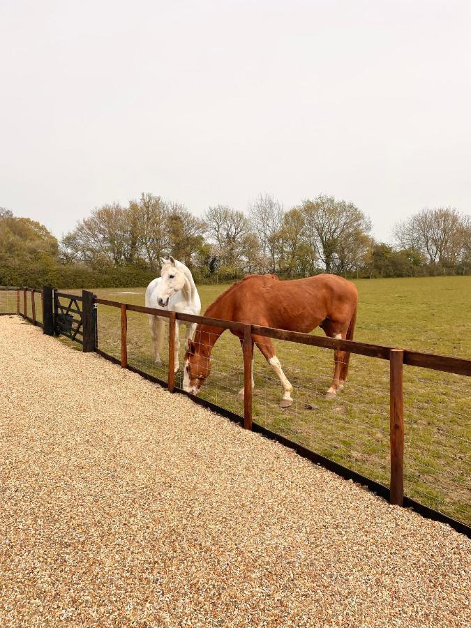 The Hayloft Βίλα Gestingthorpe Εξωτερικό φωτογραφία